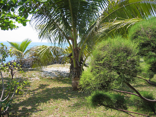 Остров Айер Остров Айер