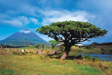 Azores Islands CT8/SM6C CT8/SJ6A Azores Islands CT8/SM6C CT8/SJ6A