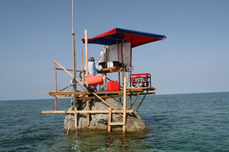 BS7H Scarborough Reef BS7H Scarborough Reef