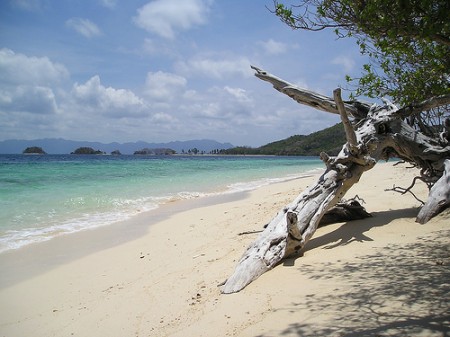 Banaba Island T33A DX News