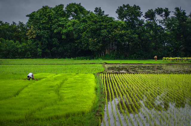 Bangladesh S21ZBC S21ZBB  Bangladesh S21ZBC S21ZBB