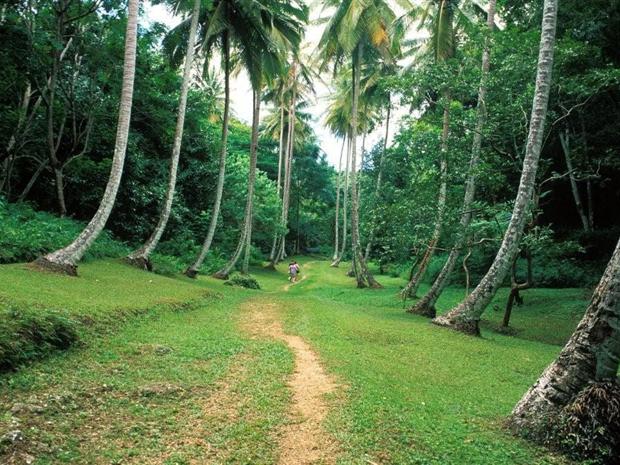  8P5A CQ WW DX SSB Contest 2010