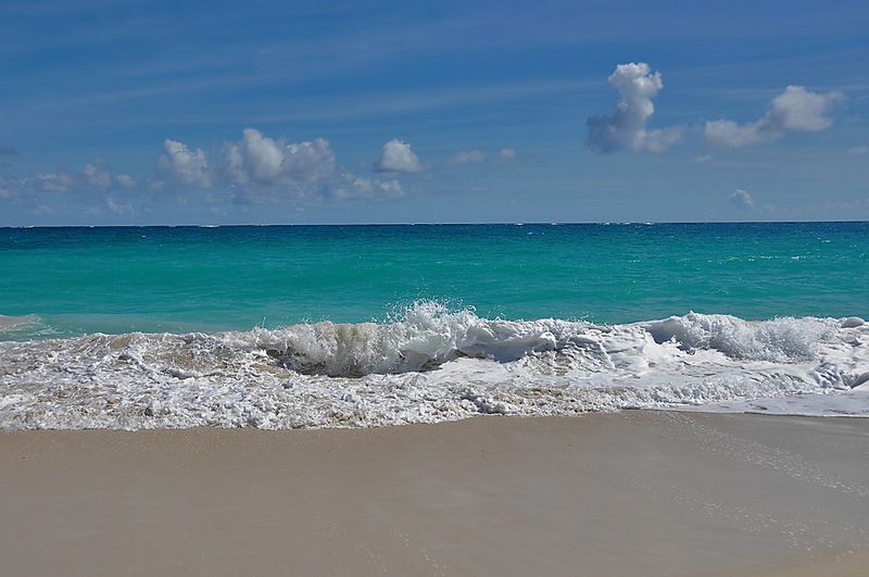  8P8T 8P9IU 8P9TA 8P9BJ 