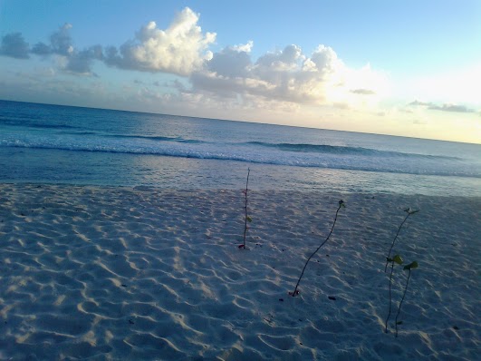 Барбадос 8P9BN  Барбадос 8P9BN