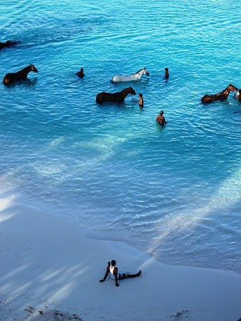 Барбадос 8P9BN DX Новости Барбадос 8P9BN DX Новости