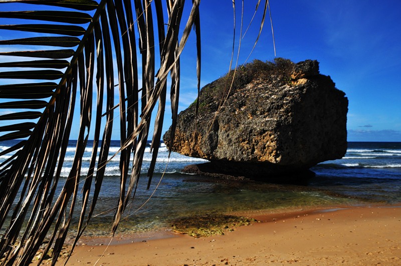 Barbados 8P9CI 8P9CK  Barbados 8P9CI 8P9CK