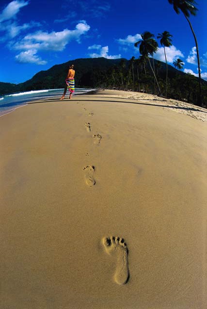 Basse Terre Island FG/F6ITD Basse Terre Island FG/F6ITD