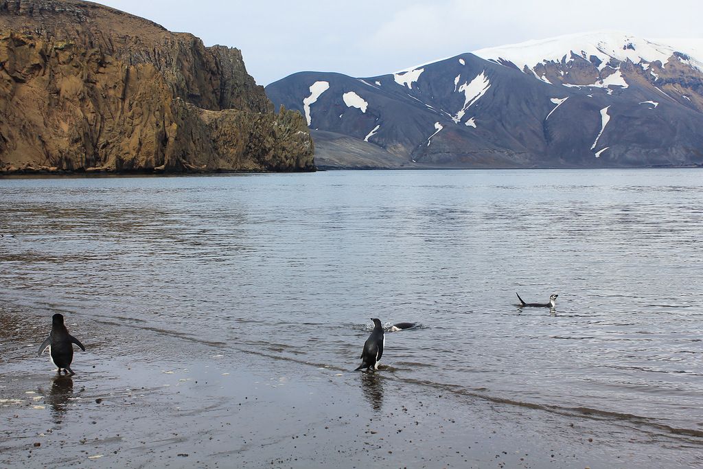 Станция Беллингсгаузен Остров Кинг Джордж Южно Шетландские острова RI59ANT Станция Беллингсгаузен Остров Кинг Джордж Южно Шетландские острова RI59ANT