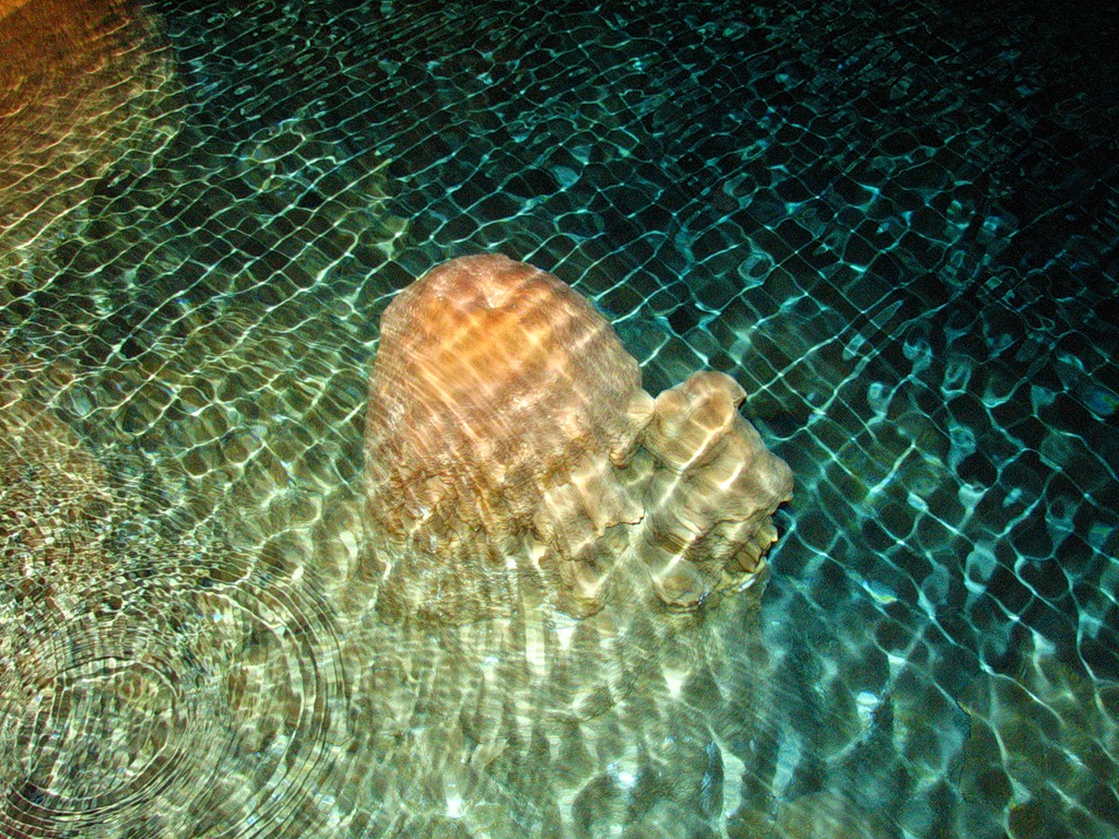 Bermuda Islands VP9/WW3S VP9/K3GP VP9/ND8L VP9I Bermuda Islands VP9/WW3S VP9/K3GP VP9/ND8L VP9I