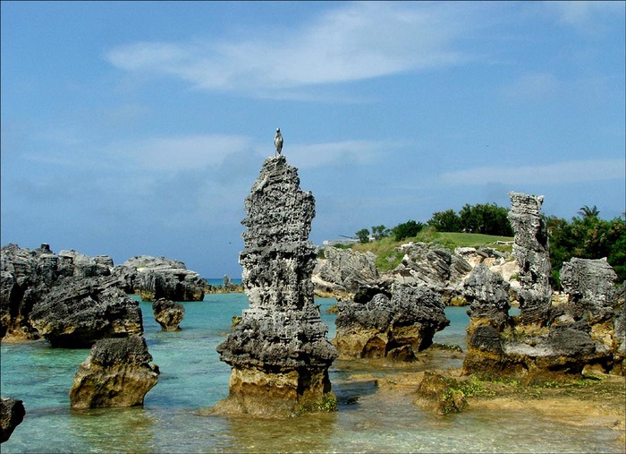 Bermuda Islands VP9KF Bermuda Islands VP9KF