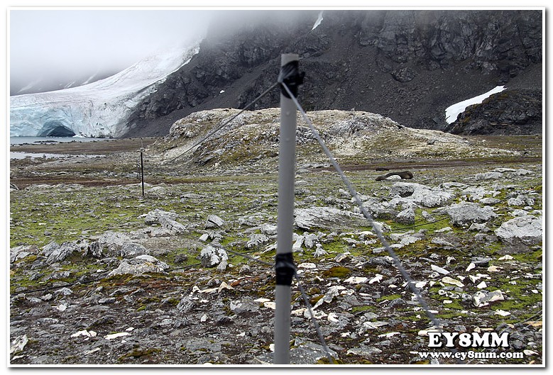 Бевередж VP8ORK Бевередж VP8ORK