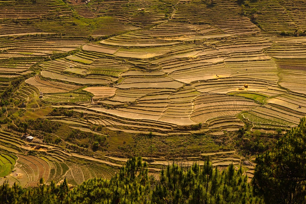 Bhutan A52DL A52VM Bhutan A52DL A52VM