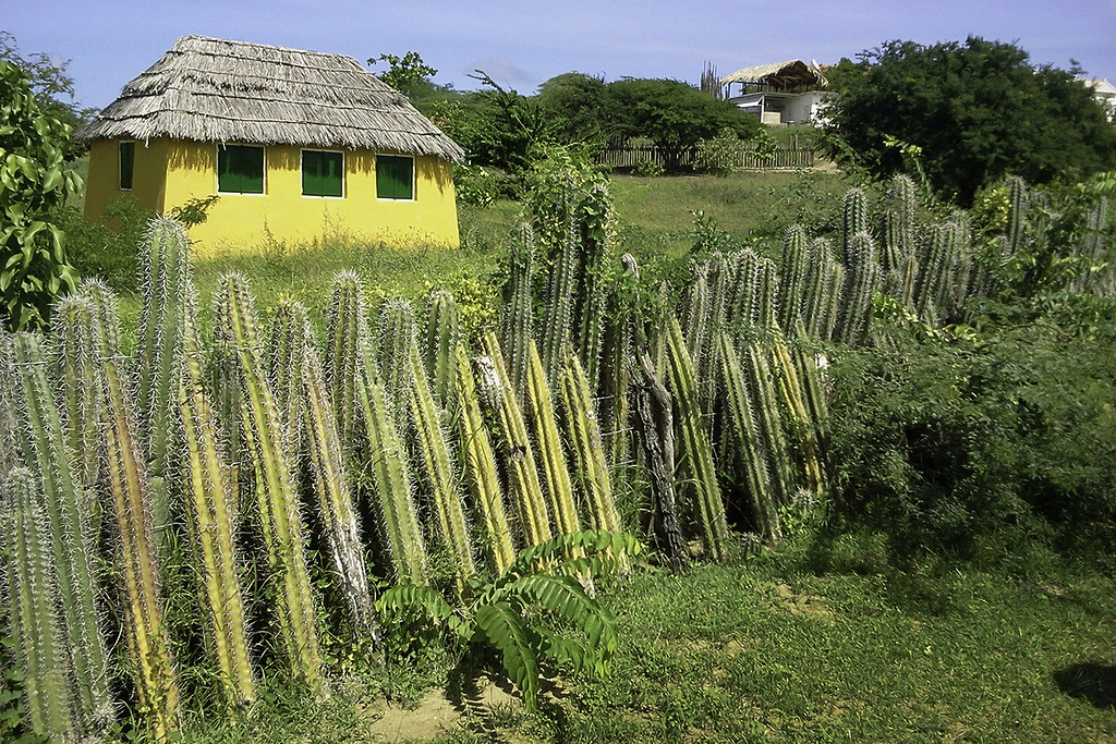 Остров Бонайре PJ4/WJ2O DX Новости Остров Бонайре PJ4/WJ2O DX Новости