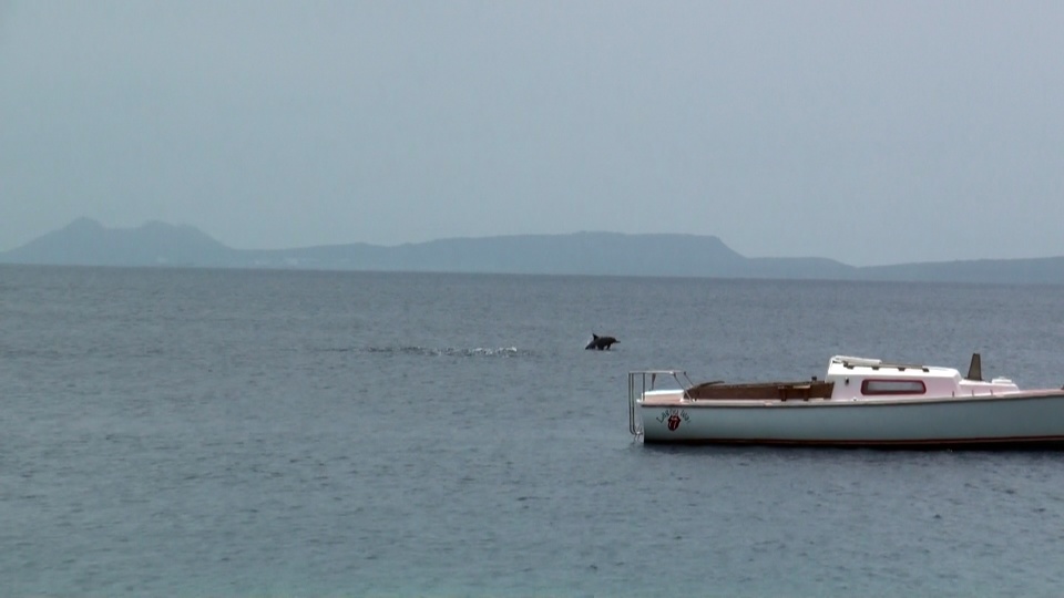 Остров Бонэйр PJ4N Остров Бонэйр PJ4N