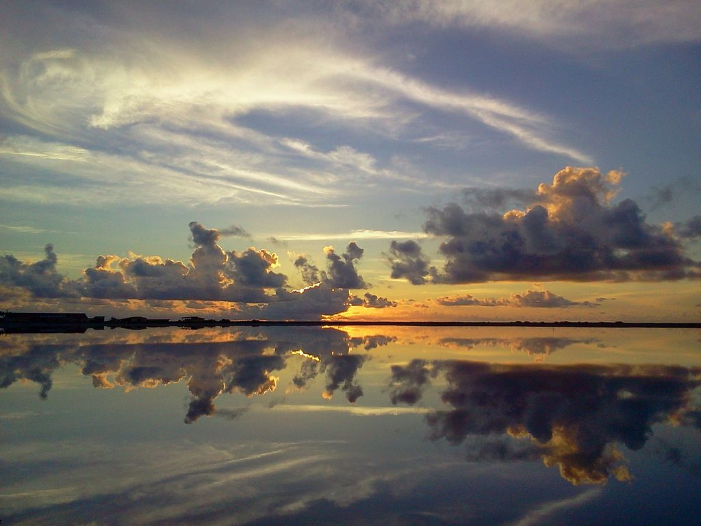 Bonaire Island PJ4/PA0DVD DX News Bonaire Island PJ4/PA0DVD DX News