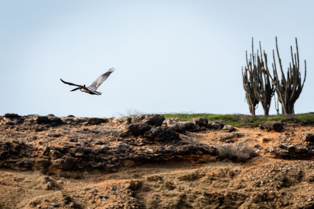 Остров Бонэйр PJ4H  Остров Бонэйр PJ4H