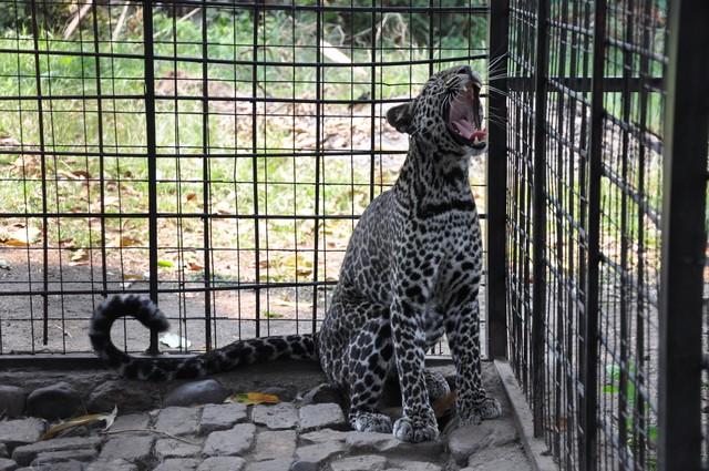 Бурунди 9U7T Бурунди 9U7T