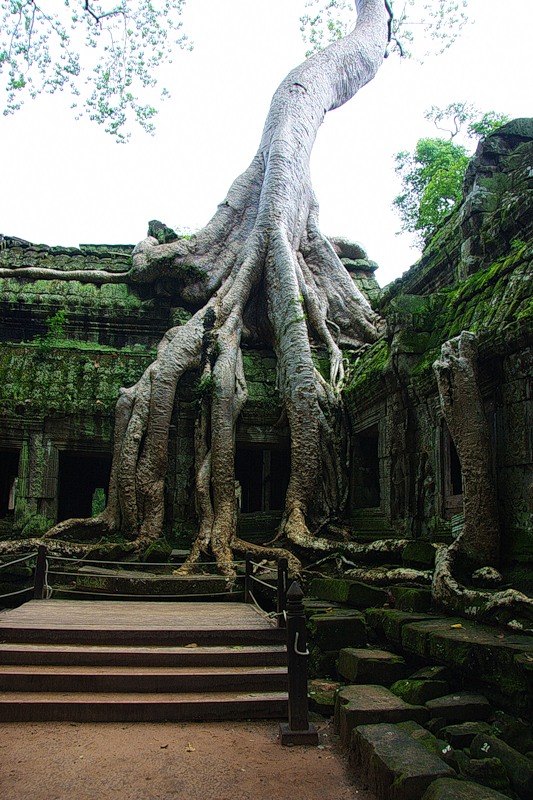 Cambodia XU7AEQ XU7AEP DX News