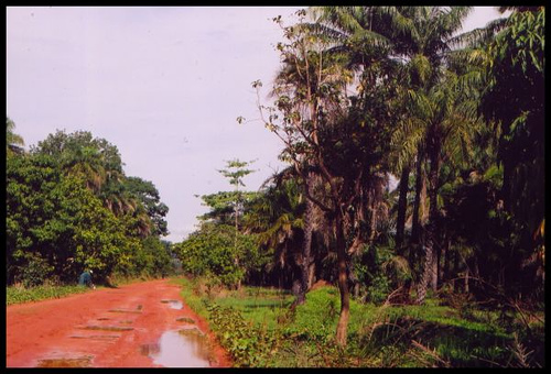 Carabane Island Senegal 6V2R/P
