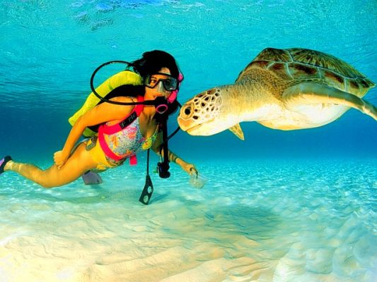 Cayman Islands ZF2TA DX News Cayman Islands ZF2TA DX News