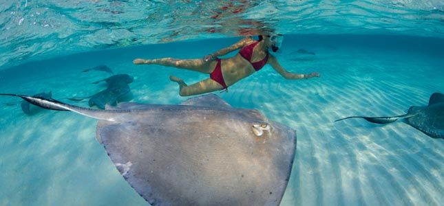 Cayman Islands ZF2AW Tourism Cayman Islands ZF2AW Tourism