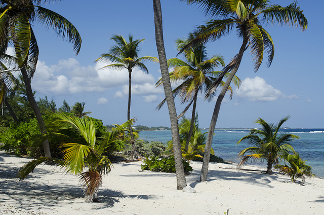 Cayman Islands ZF2PN ZF2YA ZF1A DX News Cayman Islands ZF2PN ZF2YA ZF1A DX News