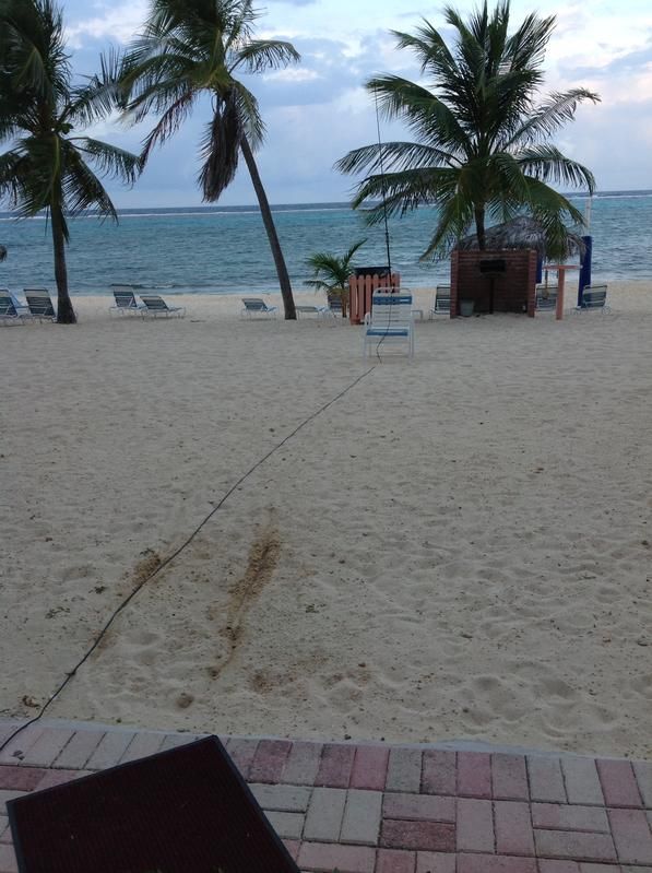 Cayman Islands ZF2RQ DX News