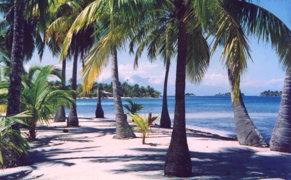 Кайос Кочинос Острова Гондурас Кайос Кочинос Острова Гондурас