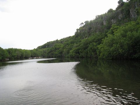 Остров Себу Филиппины Остров Себу Филиппины