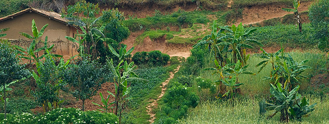 Central African Republic TL0CW DX News