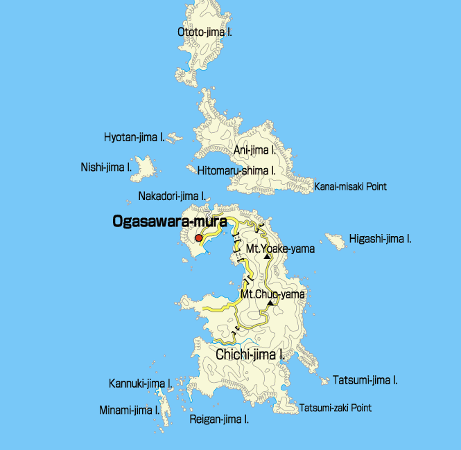 Chichi Jima Island Chichi Jima Island