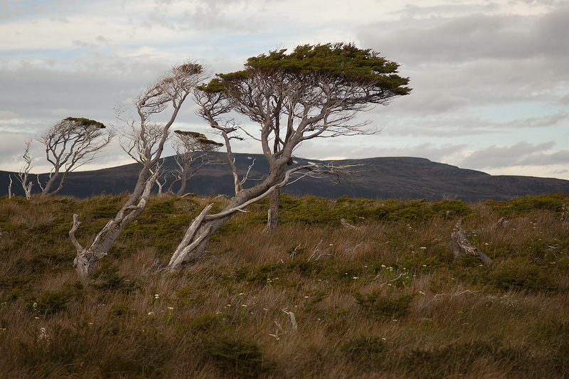 Chile CE3/UA4WHX Chile CE3/UA4WHX