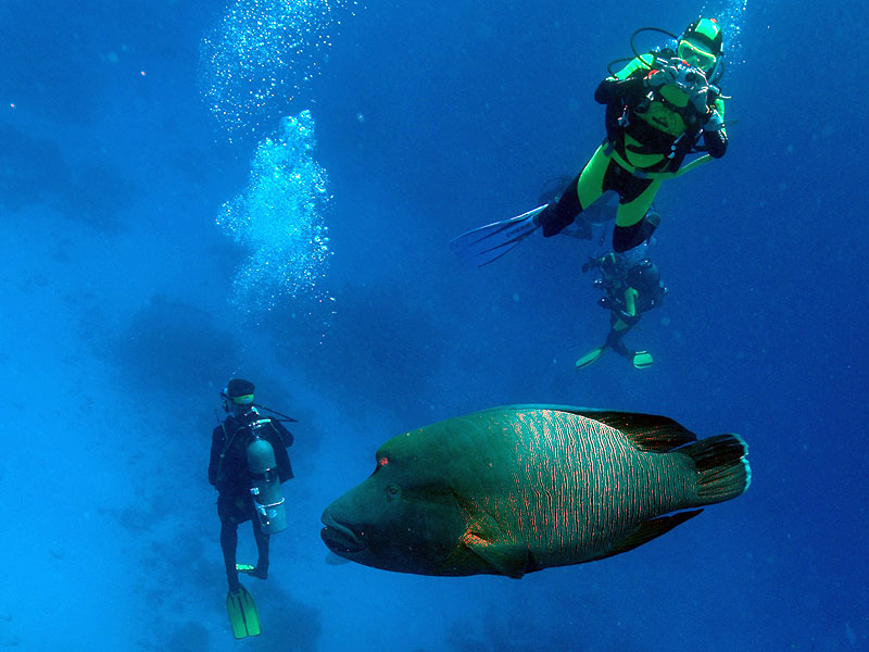 Остров Рождества VK9XM  Остров Рождества VK9XM