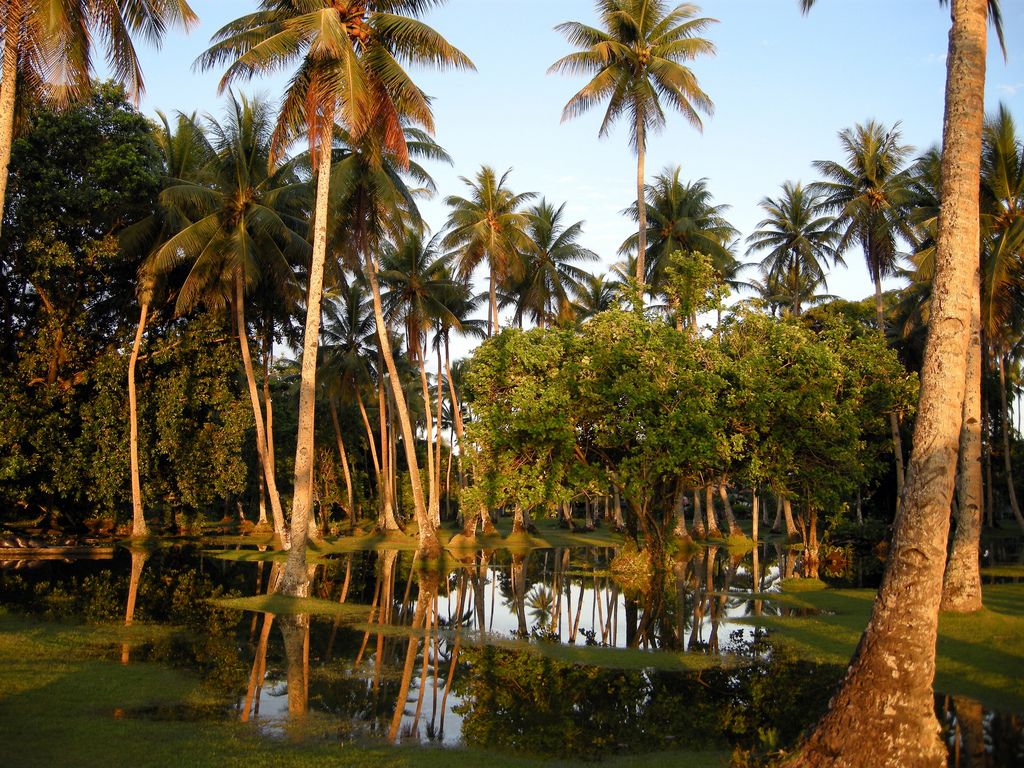 Картинки по запросу Chuuk (OC-011), Микронезия фото