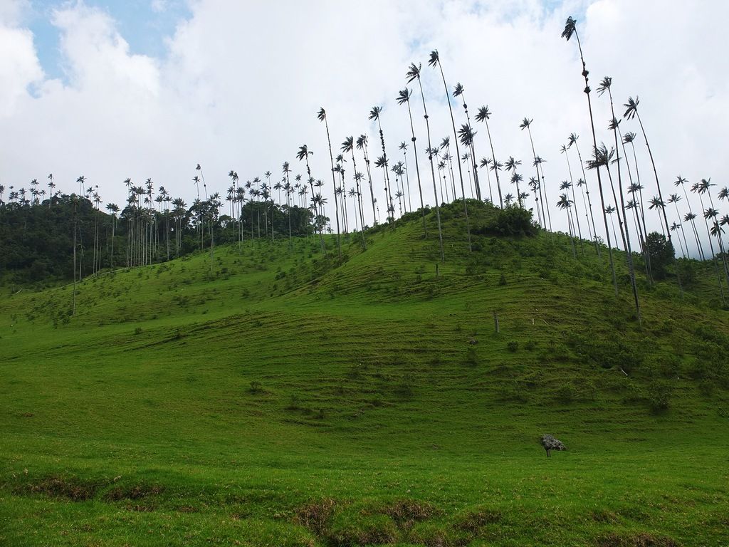  HK9/VK6LC HK3/VK6LC DX 