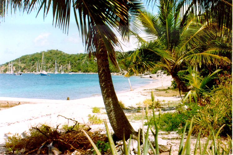 Cooper Island British Virgin Islands VP2V/GM0LVI Cooper Island British Virgin Islands VP2V/GM0LVI