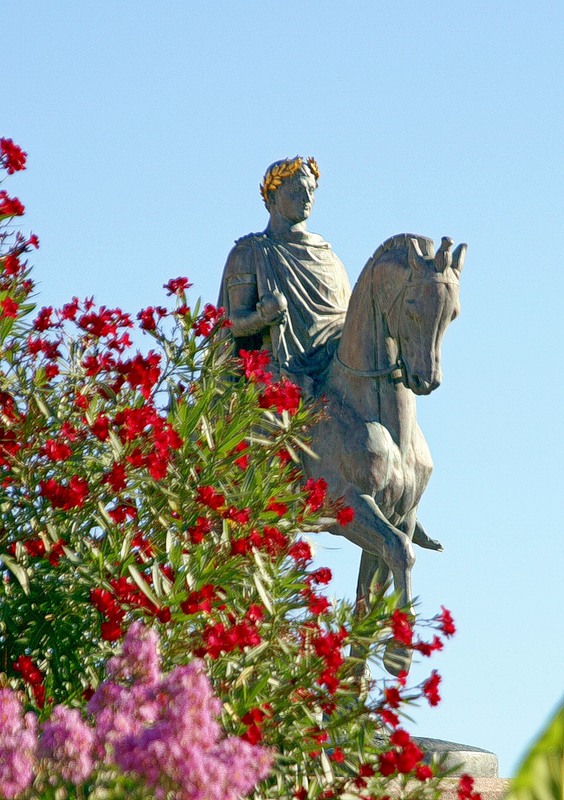 Corsica Napoleon TK4W Corsica Napoleon TK4W