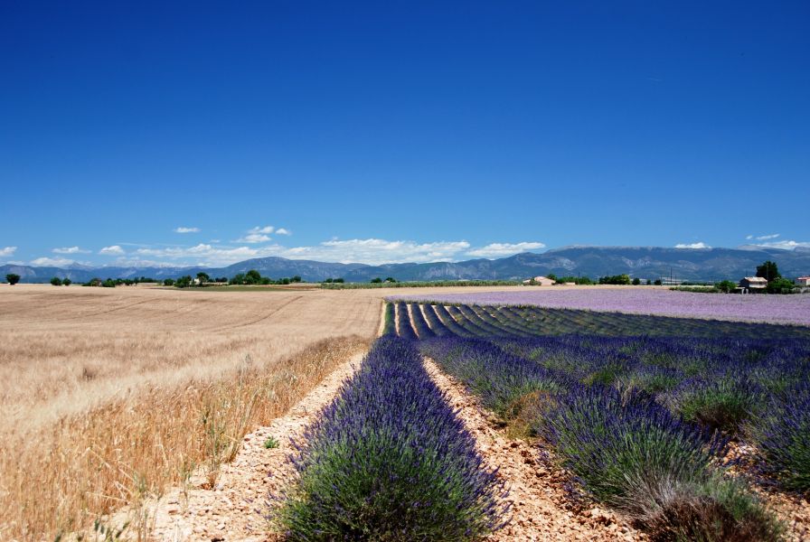 Corsica TK/F6EPO Tourist Attractions  Corsica TK/F6EPO Tourist Attractions