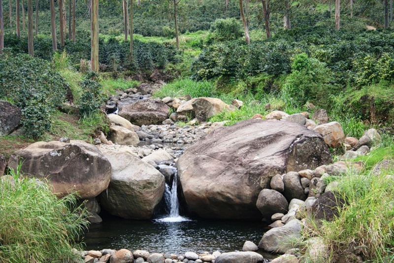 Costa Rica TI5/KI4TRG Costa Rica TI5/KI4TRG