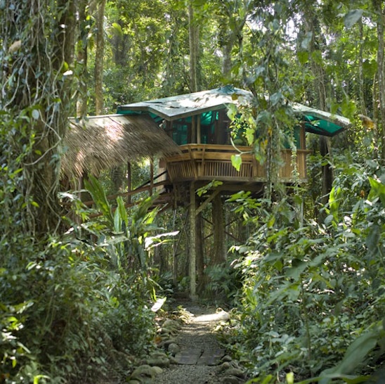 Гостиница на дереве Коста Рика TI7/AA2UP DX Новости Гостиница на дереве Коста Рика TI7/AA2UP DX Новости