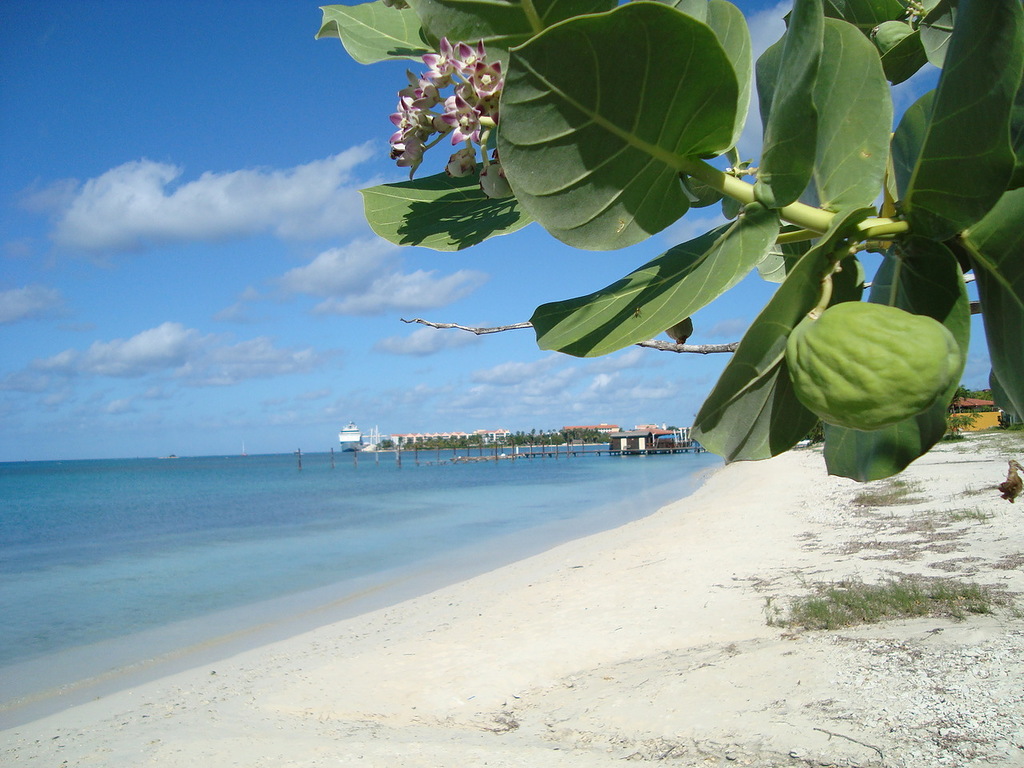 Остров Кюрасао PJ2/K5JP PJ2/NT5V PJ2/W5BOS Остров Кюрасао PJ2/K5JP PJ2/NT5V PJ2/W5BOS