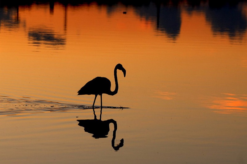 Остров Кюрасао PJ2/K5JP PJ2/NT5V PJ2/W5BOS DX Новости Остров Кюрасао PJ2/K5JP PJ2/NT5V PJ2/W5BOS DX Новости