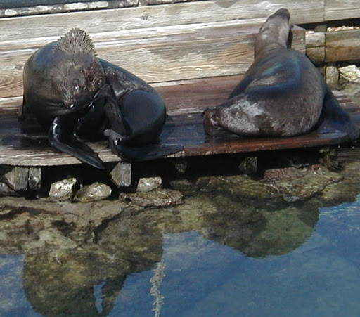 Curacao PJ2T Tourist Attractions Curacao PJ2T Tourist Attractions