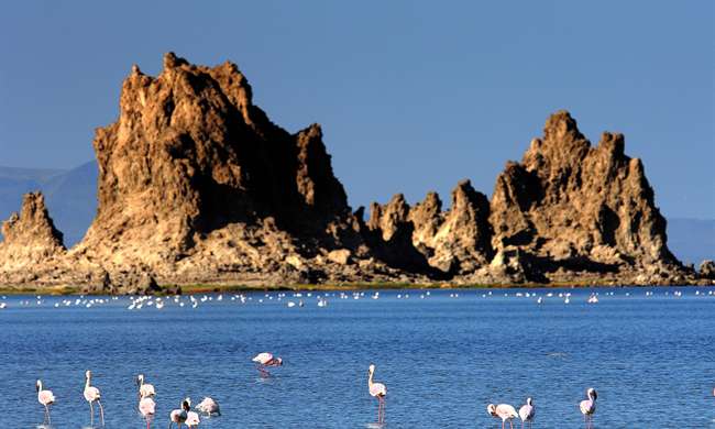 Djibouti J28NC DX News Djibouti J28NC DX News