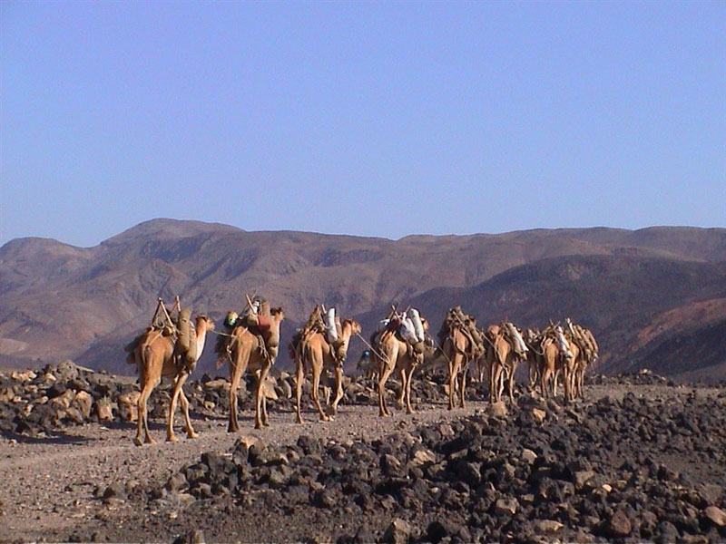 Джибути J28UC DX Новости Джибути J28UC DX Новости