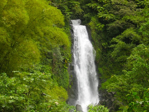 Остров Доминика J73M Остров Доминика J73M