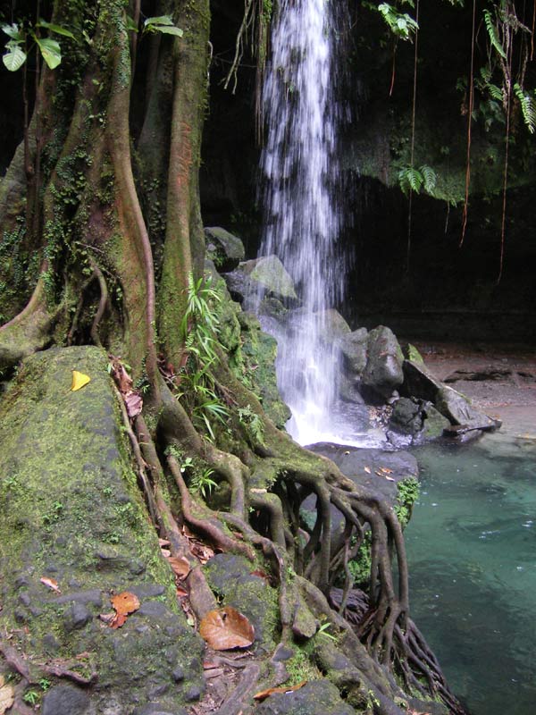 Доминика Доминика