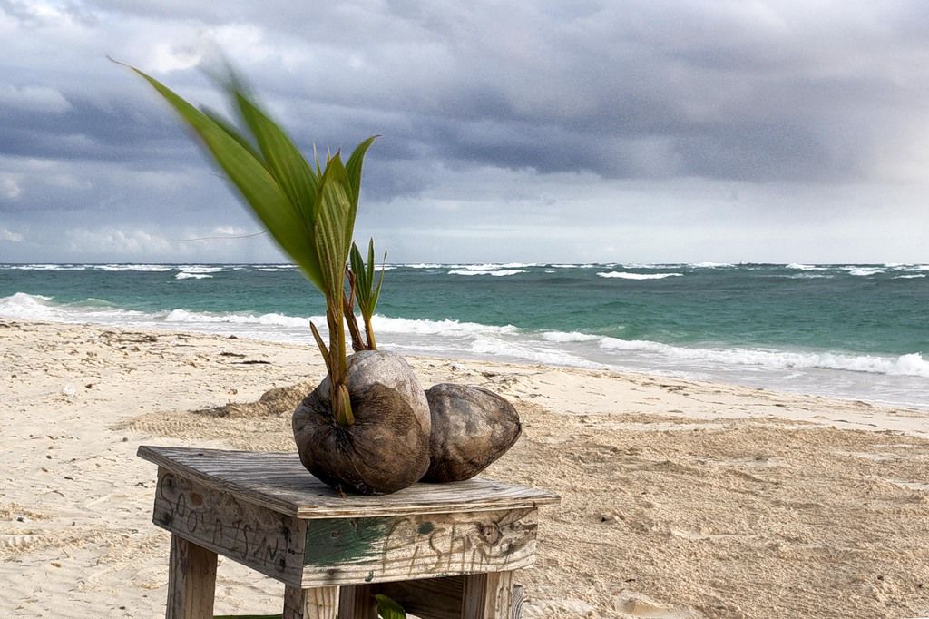 Dominican Republic HI/HB9JNJ DX News Dominican Republic HI/HB9JNJ DX News