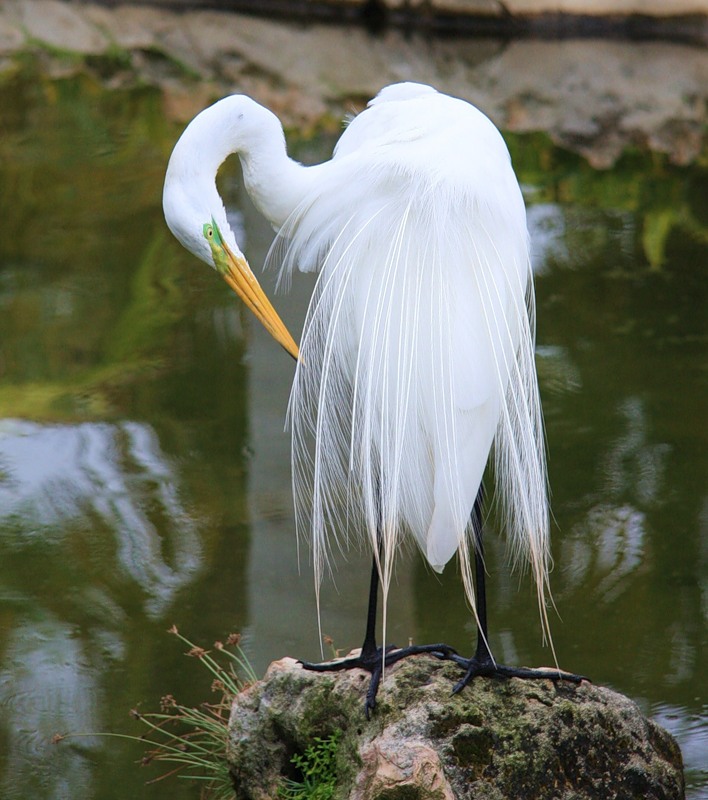 Dominican Republic HI3TT DX News Dominican Republic HI3TT DX News