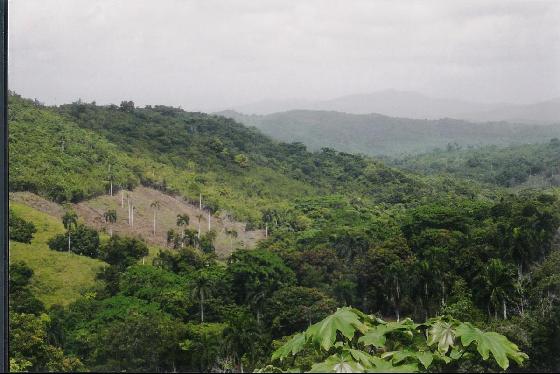 Dominican Republic HI9/IZ4AFW Dominican Republic HI9/IZ4AFW